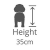 Puppies Australia Mini Cavoodle Height
