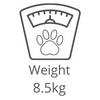 Puppies Australia Cavalier weight