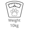 Puppies Australia Mini Cavoodle weight