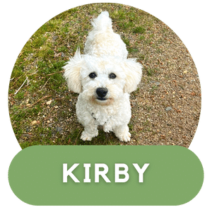 Puppies Australia Kirby 